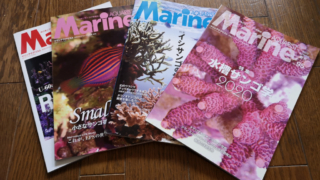 雑誌「マリンアクアリスト」