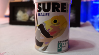 海水魚用の餌（シーライフ SURE）